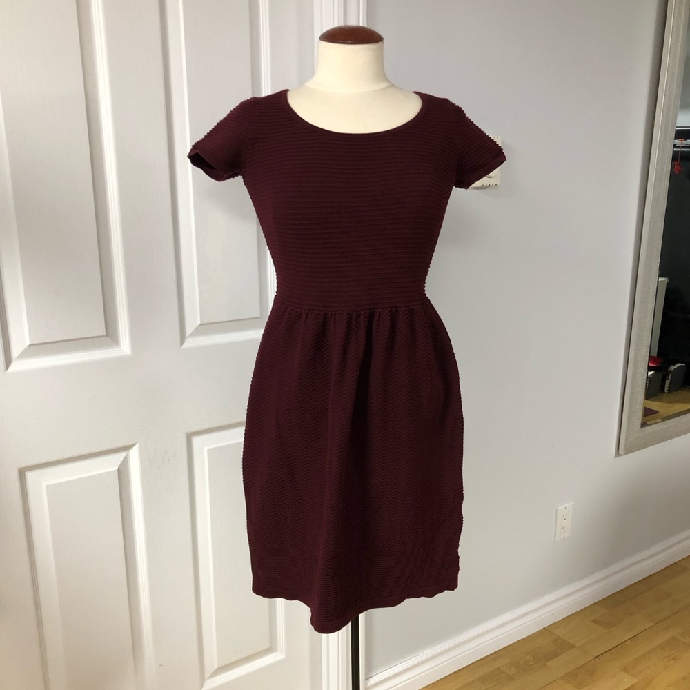 Beautiful Burgundy Tristan knit dress